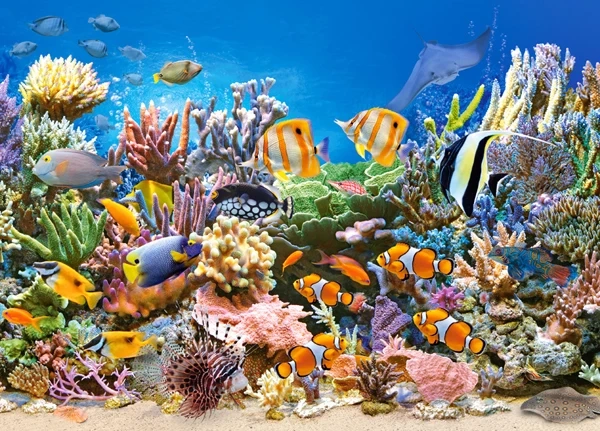 Пазл Castorland 260 Colours of the Ocean B-27279