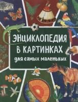 Книга: Энциклопедия в картинках для самых маленьких ROS-39029