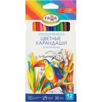 Карандаши цветные ГАММА "Классические" 12 цв заточенные RE-050918_02
