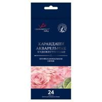 Набор акварельных карандашей VISTA-ARTISTA Gallery 24 цв заточенные VGWP-24