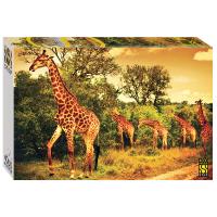 Пазл Step Puzzle 4000 "Южноафриканские жирафы" STP-85420