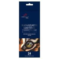 Набор цветных карандашей VISTA-ARTISTA Gallery 24 цв VGCP-24