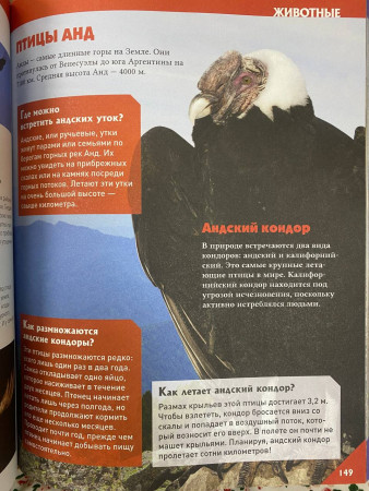 Книга: Большая универсальная энциклопедия ROS-39028