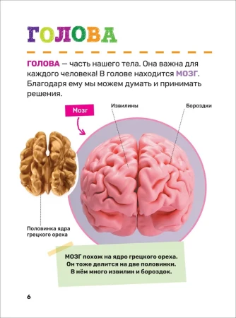 Книга: Тело человека. Первая энциклопедия малыша ROS-40707