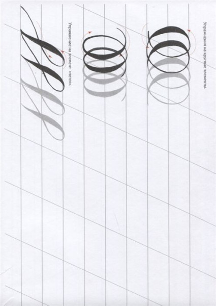 Книга: Каллиграфия кистью. Прописи. Латиница EKS-956432