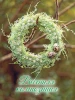 Книга: Времена года. Сезонные композиции из полимерной глины. 10 мастер-классов (Т. Годунова) AI499003