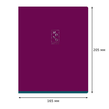 Тетрадь 96л. A5 клетка BG "Monocolor. Bright color" тиснение фольгой RE-Т5ск96_тф 11120