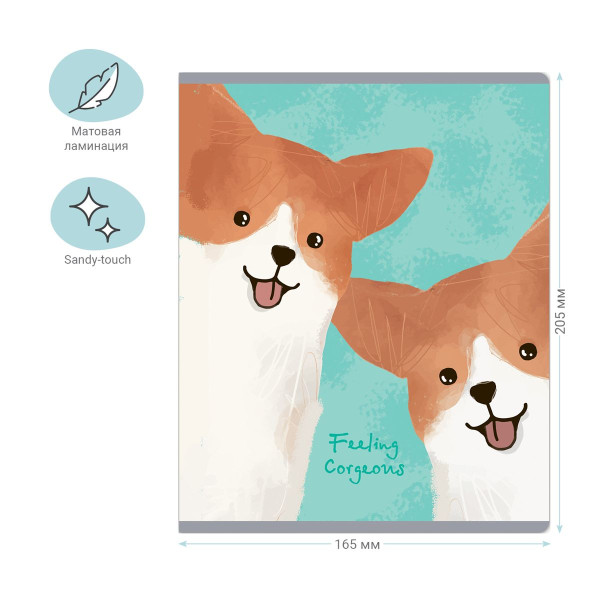 Тетрадь 48л. A5 клетка MESHU "Funny dogs" матовая ламинация, микро sandy-touch лак RE-MS_49772