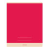 Тетрадь 96л. A5 линия BG "Monocolor. Simple" RE-Т5ск96_11123