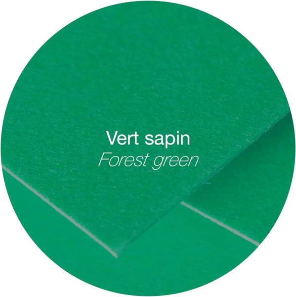 Конверт CLAIREFONTAINE Pollen DL 110 x 220 мм 120 г/м2 1 шт, зеленый лес RH-5595C