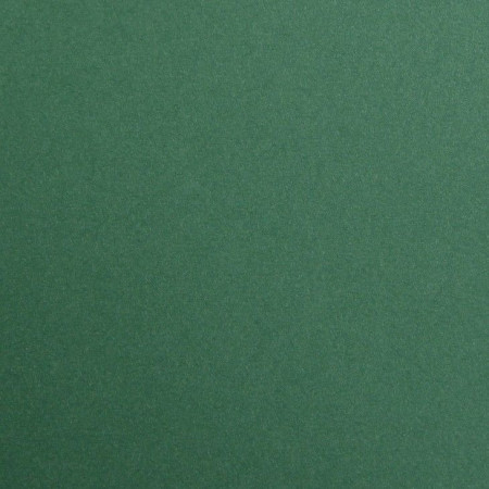 Бумага цветная CLAIREFONTAINE Maya 120 г/м2 50 x 70 см 1 л, античный зеленый (antique green) RH-97179C