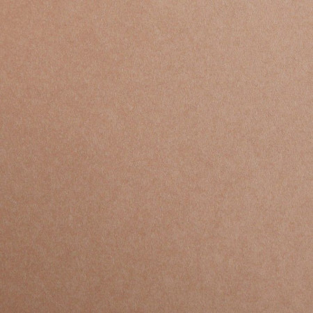 Бумага цветная CLAIREFONTAINE Maya 120 г/м2 50 x 70 см 1 л, светло-коричневый (light brown) RH-97174C