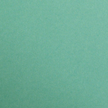 Бумага цветная CLAIREFONTAINE Maya 120 г/м2 50 x 70 см 1 л, темно-зеленый (dark green) RH-97151C