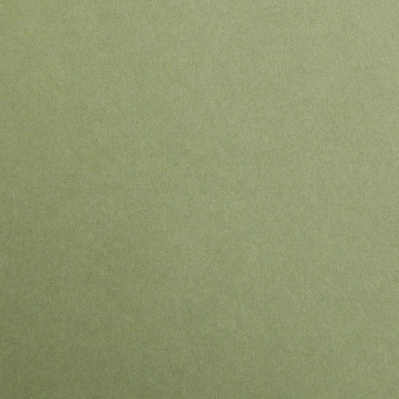 Бумага цветная CLAIREFONTAINE Maya 120 г/м2 50 x 70 см 1 л, хаки (kaki) RH-97170C
