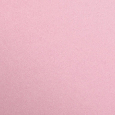 Бумага цветная CLAIREFONTAINE Maya 120 г/м2 A4 1 л, бледно-розовый (pale pink) RH-97365C