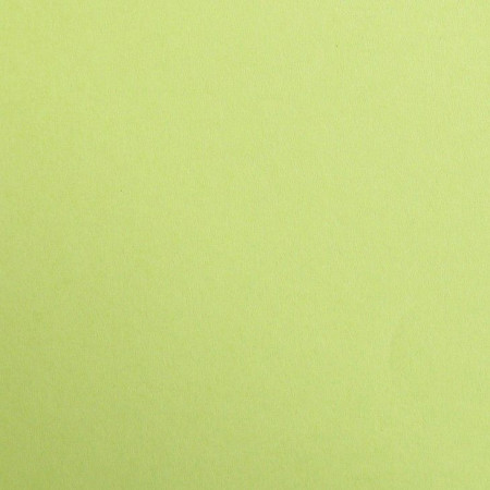 Бумага цветная CLAIREFONTAINE Maya 120 г/м2 A4 1 л, зеленый мох (moss green) RH-97352C