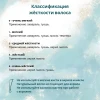 Кисть Roubloff Серия 1S25 синтетика под колонок плоская ручка короткая №4 MPЖS2-04-05Ж