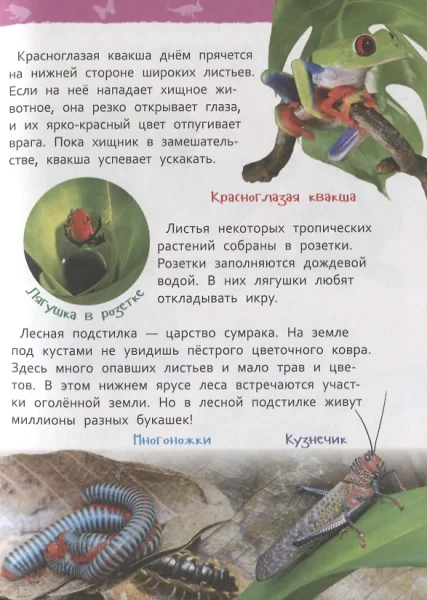 Книга: Джунгли (Энциклопедия для детского сада) ROS-35067