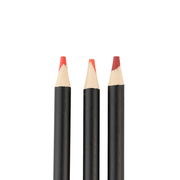 Набор цветных карандашей SKETCHMARKER Ботаника 24 цв мет.пенал NP-SMCP-BOTANIC24
