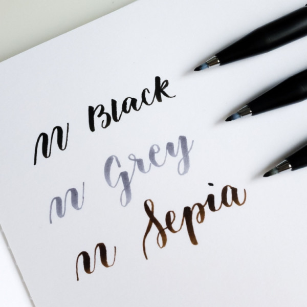 Фломастер-кисть PENTEL Brush Sign Pen Pigment 1 шт пулевидный черный SESP15-A