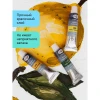 Краски акриловые ГАММА Студия 12 цв туба 18 мл RE-160320211