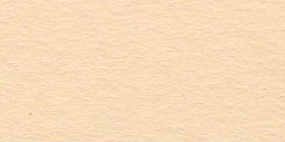 Бумага цветная VISTA-ARTISTA 120 г/м2 21 х 29.7 см TPO-А4